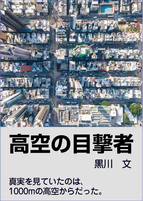 高空の目撃者