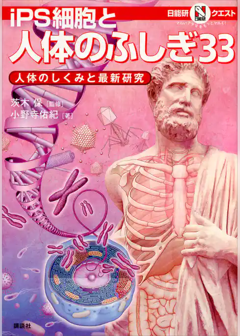 マルいアタマをもっとマルく！　日能研クエスト　ｉＰＳ細胞と人体のふしぎ３３　人体のしくみと最新研究