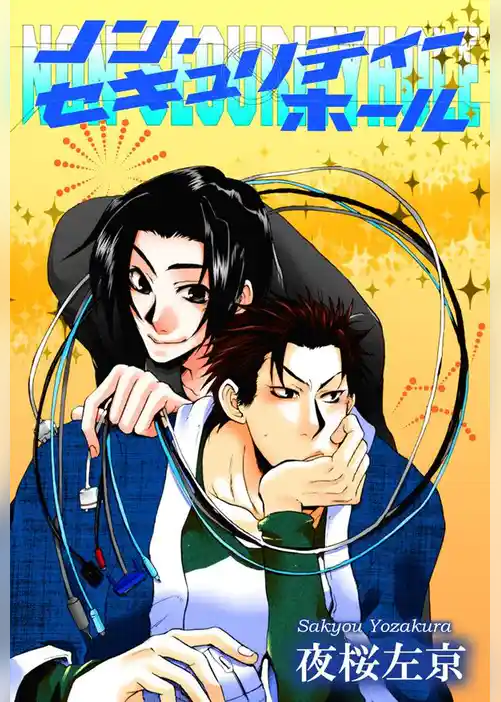 ノン・セキュリティーホール