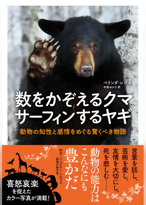 数をかぞえるクマ　サーフィンするヤギ　動物の知性と感情をめぐる驚くべき物語