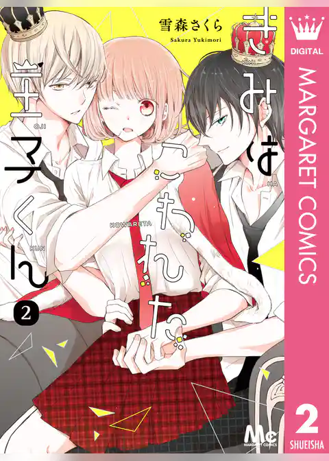 きみはこわれた王子くん