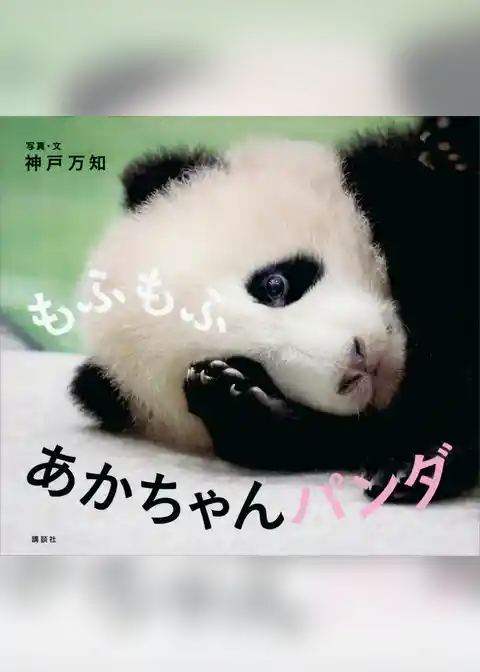もふもふ　あかちゃんパンダ