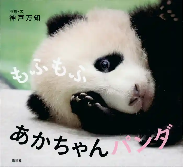 もふもふ あかちゃんパンダ