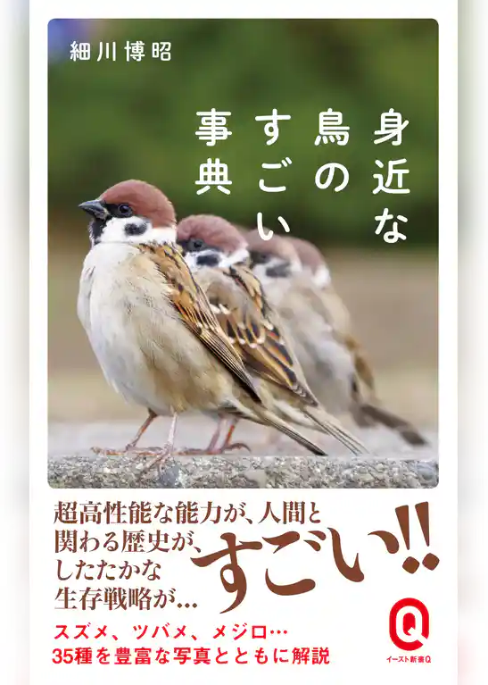 身近な鳥のすごい事典