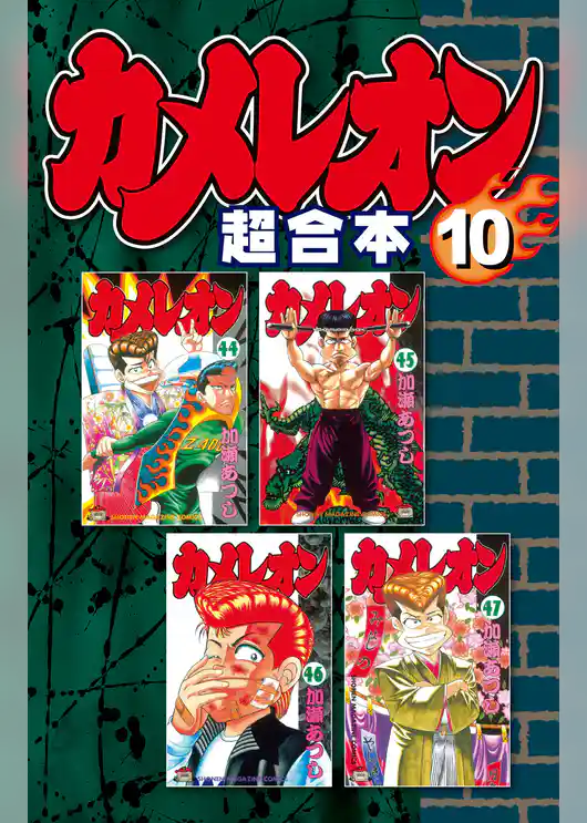 カメレオン　超合本版