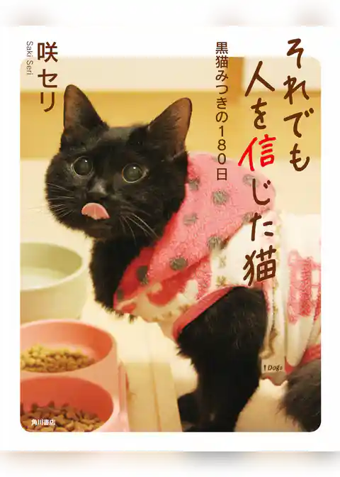 それでも人を信じた猫　黒猫みつきの１８０日
