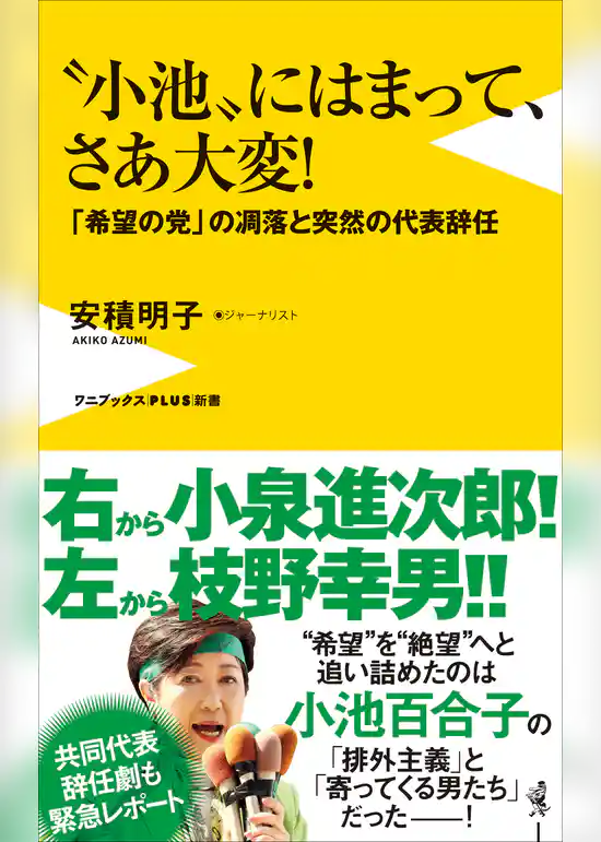 “小池”にはまって、さあ大変！ - 「希望の党」の凋落と突然の代表辞任 -