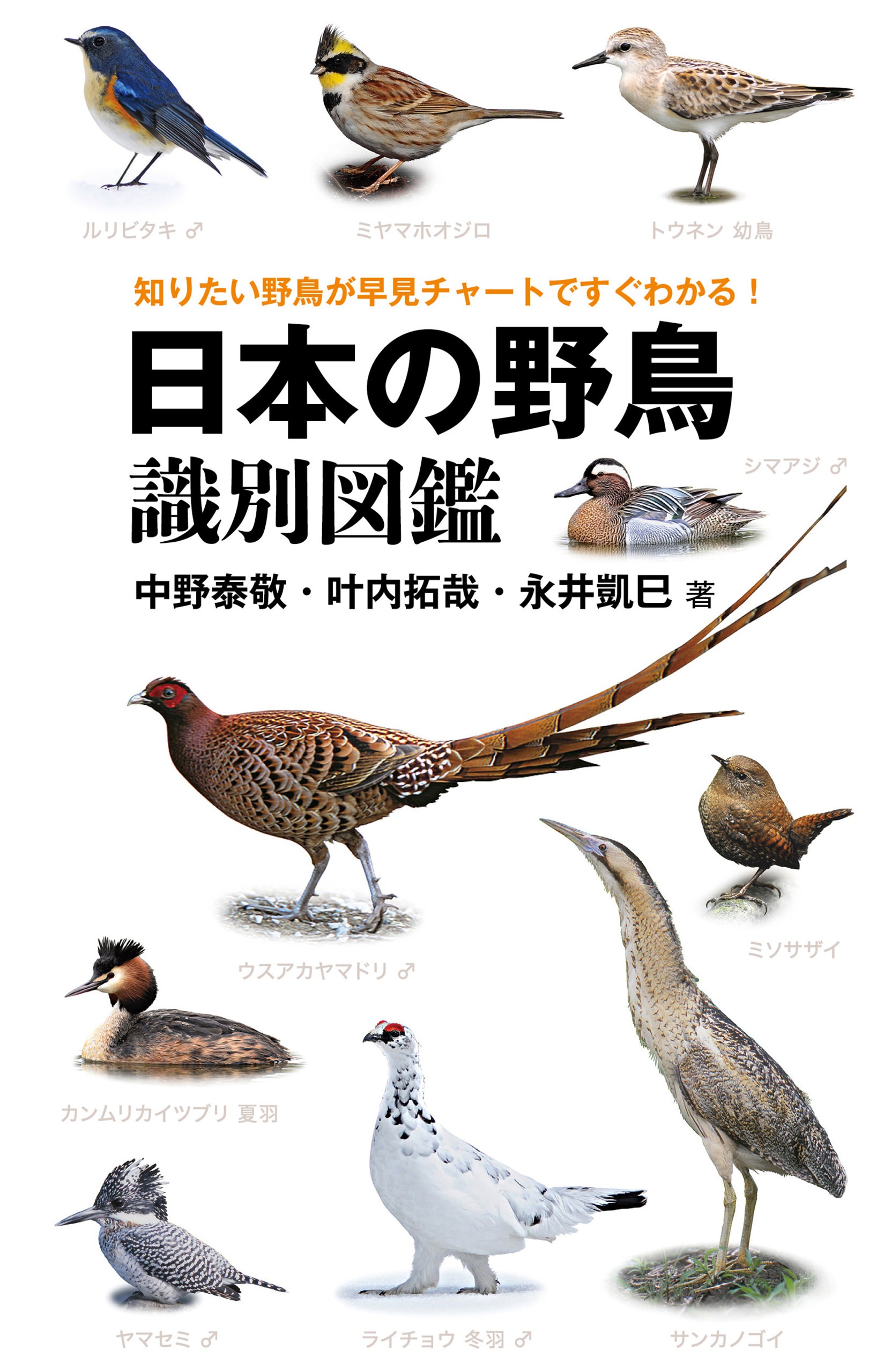 日本の野鳥識別図鑑 1巻 書籍 電子書籍 U Next 初回600円分無料