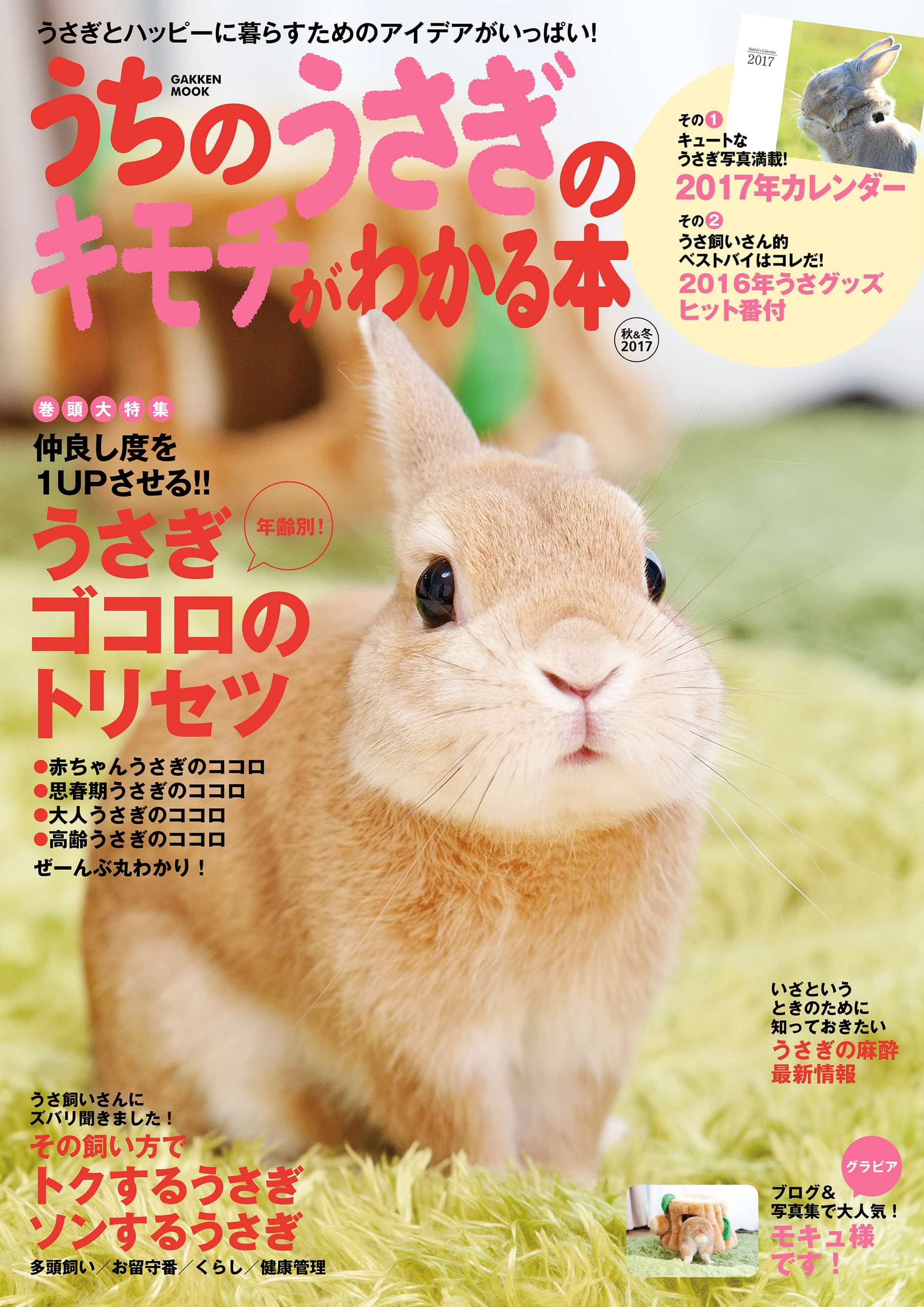 うちのうさぎのキモチがわかる本 秋 冬２０１７ 電子書籍 マンガ読むならu Next 初回600円分無料 U Next