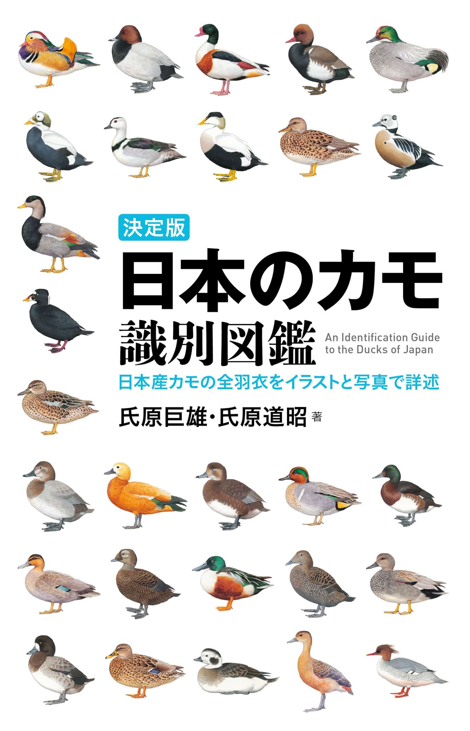 決定版 日本のカモ識別図鑑 日本産カモの全羽衣をイラストと写真で詳述 1巻 書籍 電子書籍 U Next 初回600円分無料