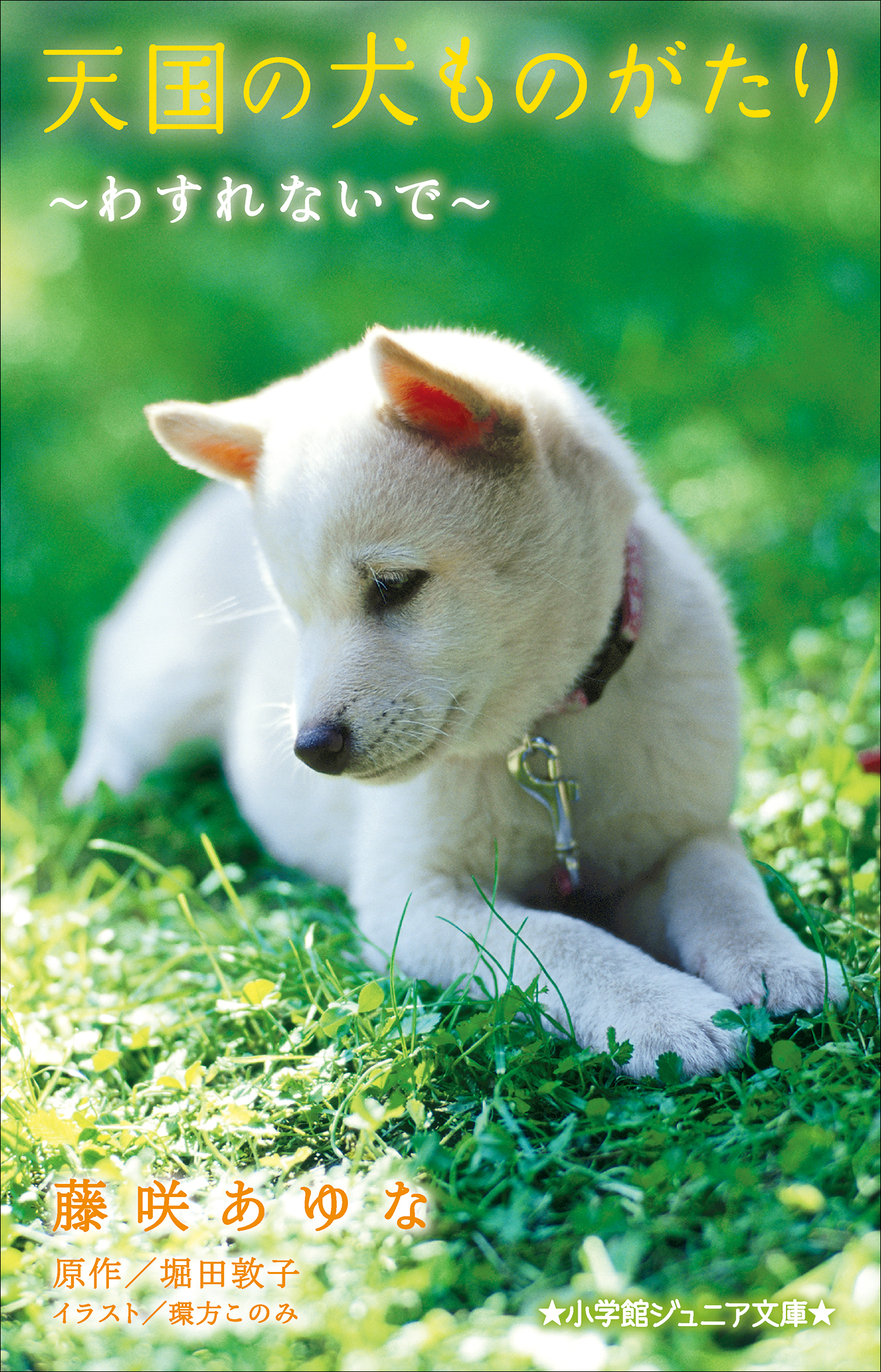 小学館ジュニア文庫 天国の犬ものがたり わすれないで ラノベ 電子書籍 U Next 初回600円分無料