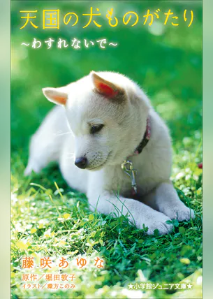 小学館ジュニア文庫 天国の犬ものがたり わすれないで ラノベ 電子書籍 U Next 初回600円分無料 小学館ジュニア文庫 天国の犬ものがたり わすれないで ラノベ 電子書籍 U Next 初回600円分無料
