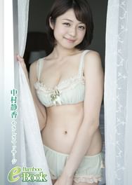 中村静香の動画視聴 あらすじ U Next