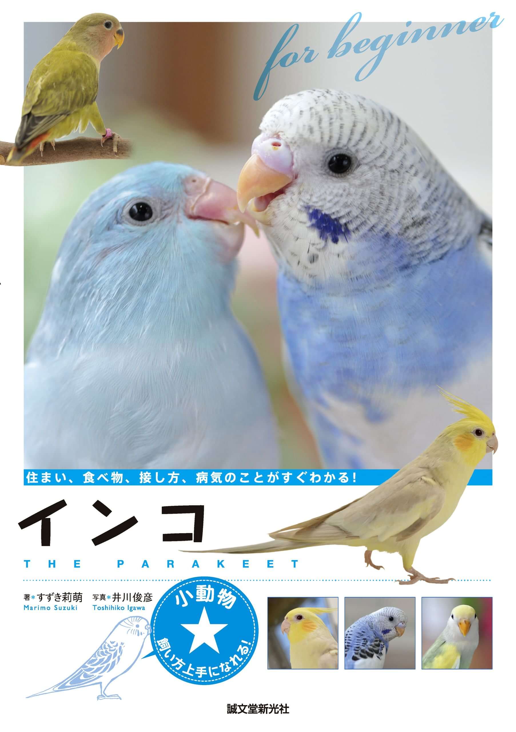 インコ 住まい 食べ物 接し方 病気のことがすぐわかる 電子書籍 マンガ読むならu Next 初回600円分無料 U Next