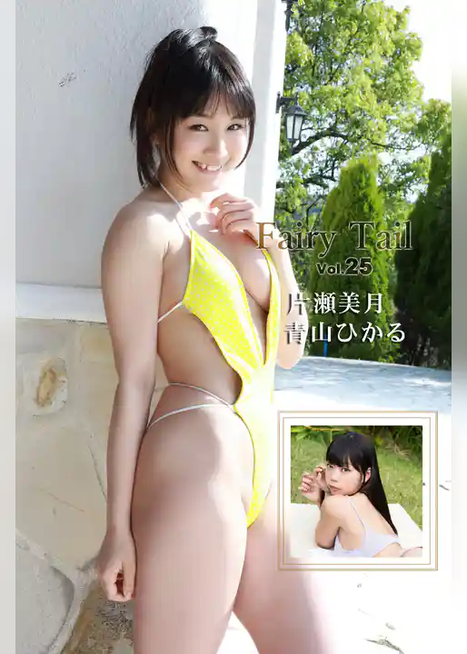 Fairy Tail Vol.25 / 片瀬美月 青山ひかる