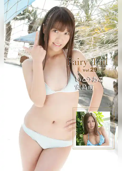 Fairy Tail Vol.29 / いとうあこ 安島萌