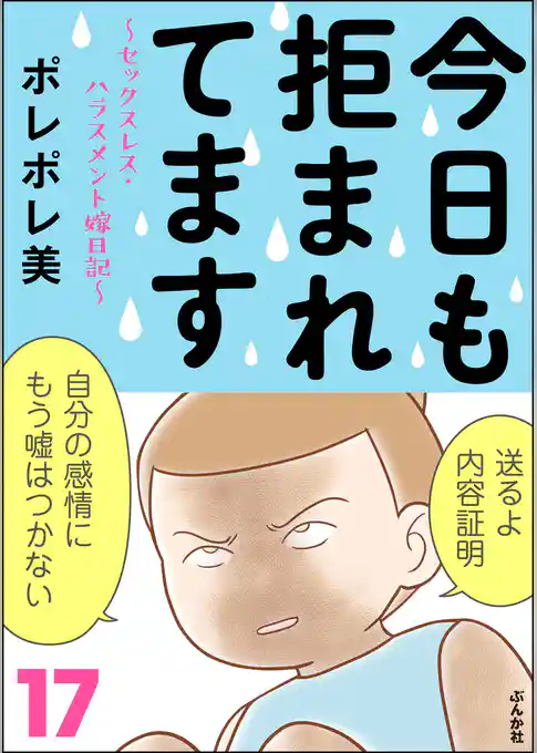 今日も拒まれてます~セックスレス・ハラスメント 嫁日記~ (17)