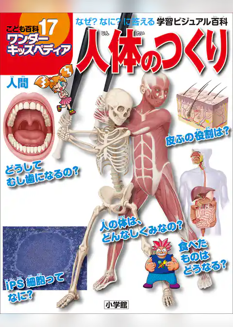 ワンダーキッズペディア17　人間 ～人体のつくり～
