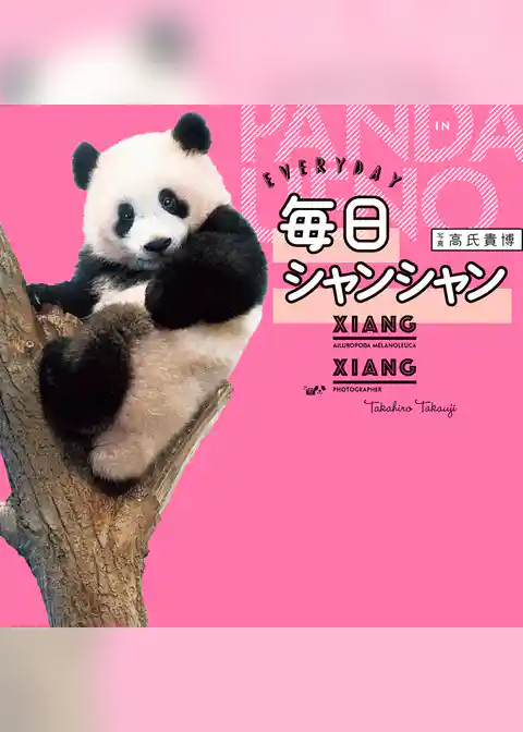 毎日シャンシャン