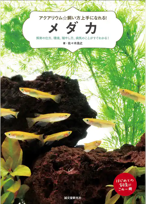 メダカ：飼育の仕方、環境、殖やし方、病気のことがすぐわかる！