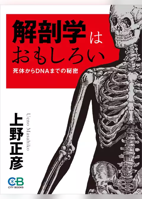 解剖学はおもしろい