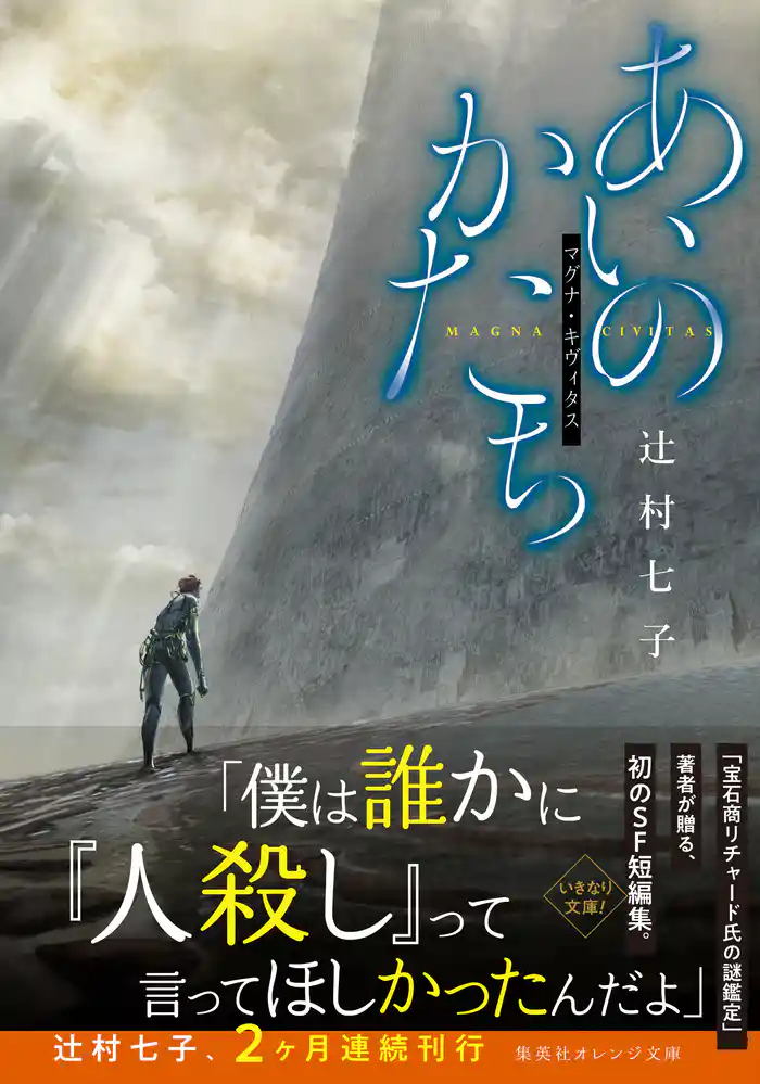 あいのかたち　マグナ・キヴィタス