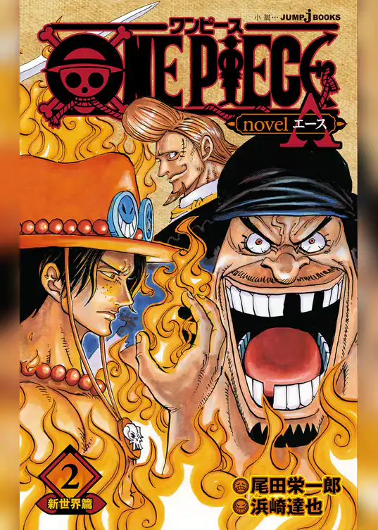 ONE PIECE novel A