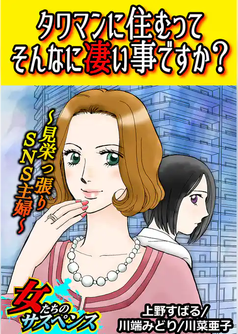 タワマンに住むってそんなに凄い事ですか？～見栄っ張りSNS主婦～