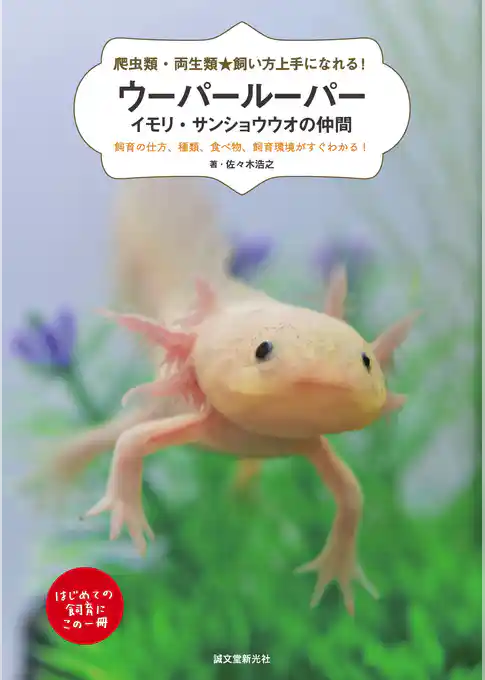 ウーパールーパー・イモリ・サンショウウオの仲間：飼育の仕方、種類、食べ物、飼育環境がすぐわかる！