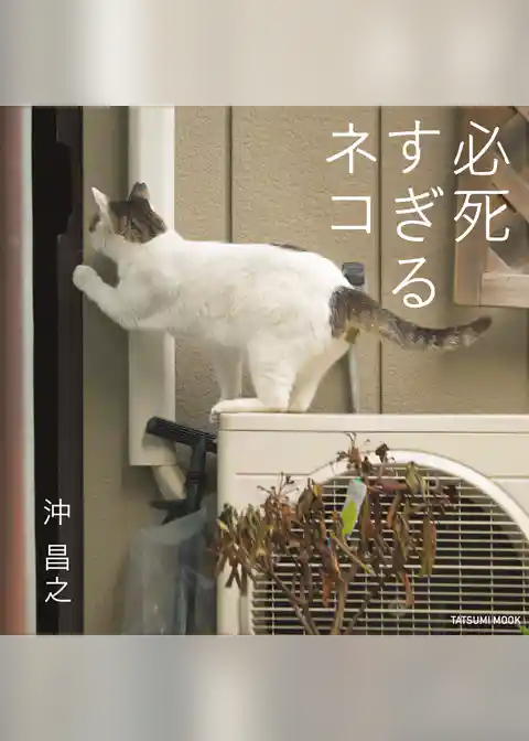 写真集 必死すぎるネコ