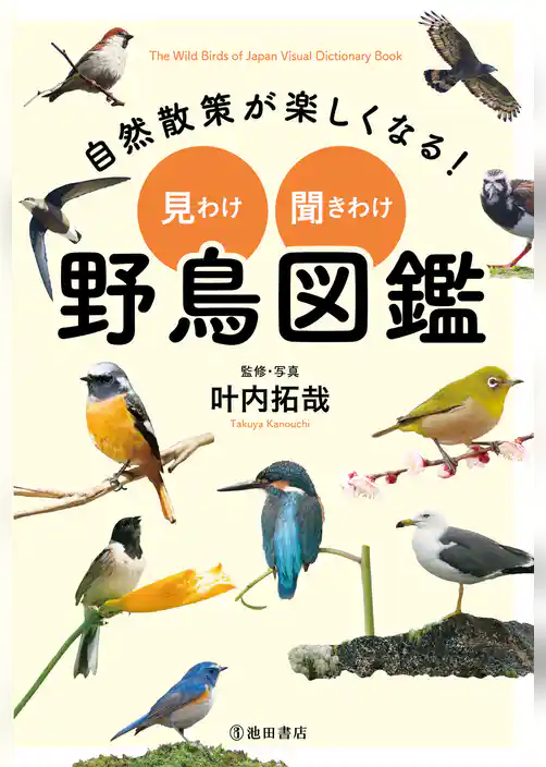 自然散策が楽しくなる！ 見わけ・聞きわけ 野鳥図鑑（池田書店）