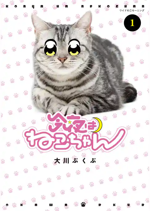 今夜はねこちゃん