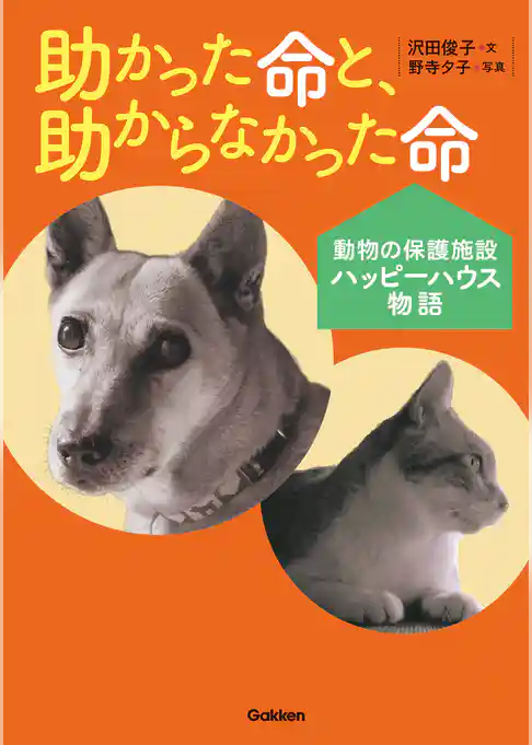 助かった命と、助からなかった命 動物の保護施設ハッピーハウス物語