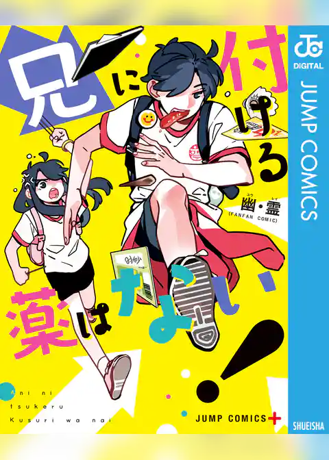 兄に付ける薬はない！
