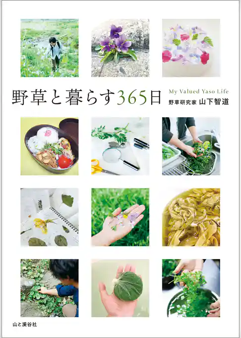 野草と暮らす365日