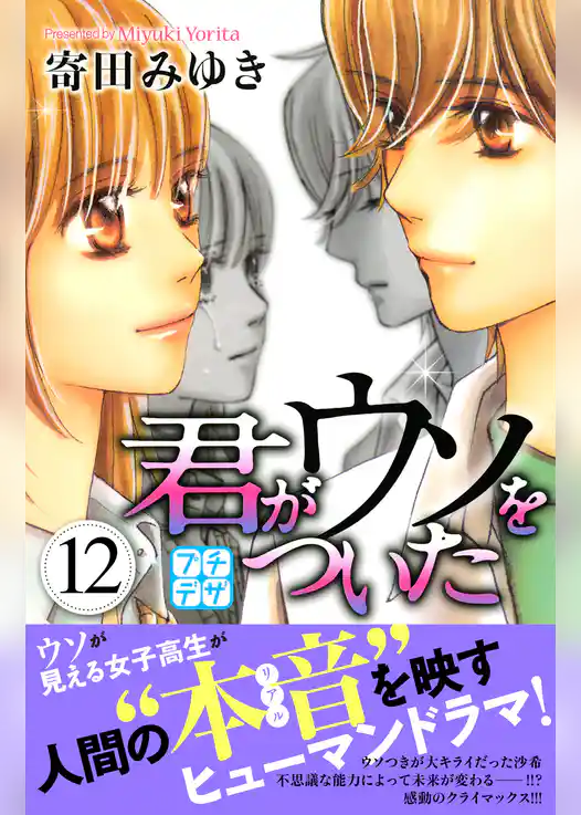 君がウソをついた　プチデザ