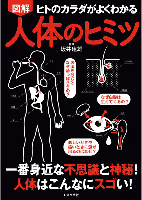 図解　人体のヒミツ