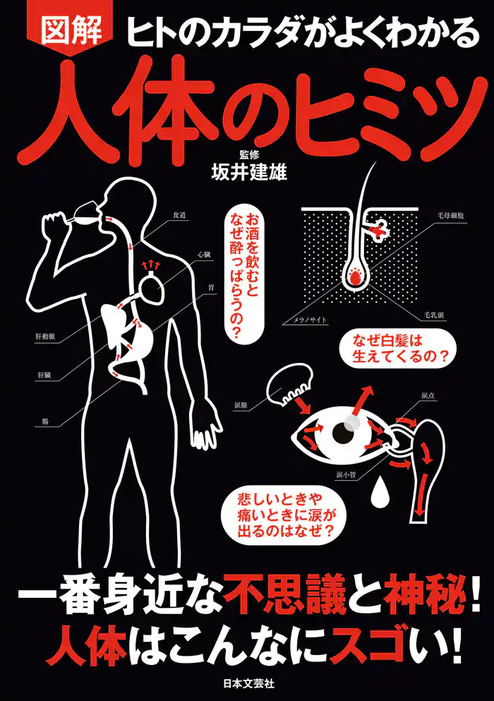図解 人体のヒミツ