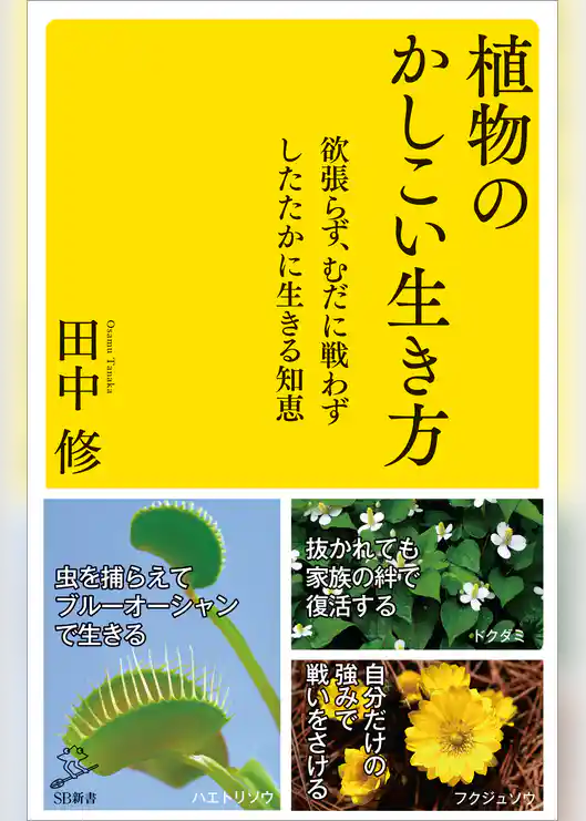 植物のかしこい生き方　欲張らず、むだに戦わずしたたかに生きる知恵