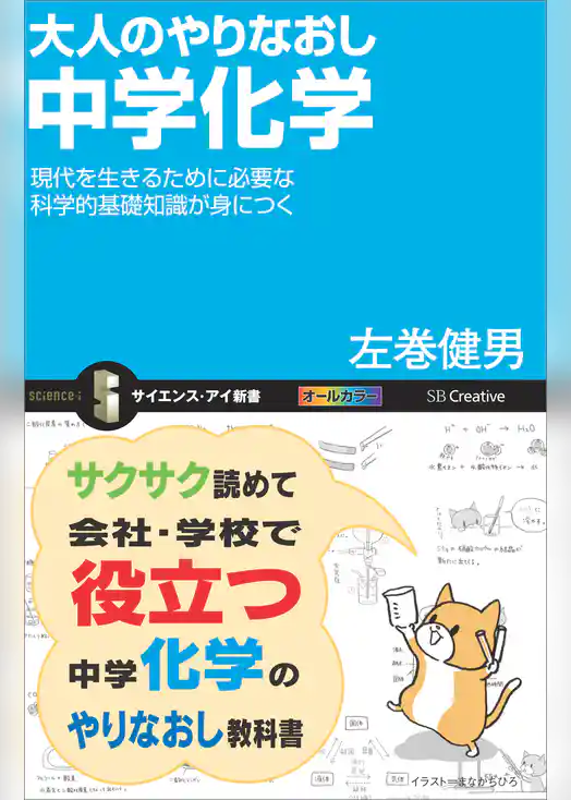 大人のやりなおし中学化学　現代を生きるために必要な科学的基礎知識が身につく
