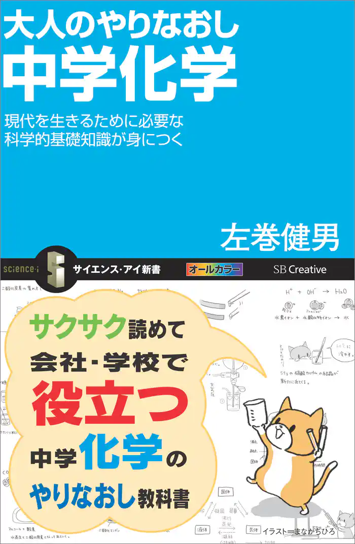 大人のやりなおし中学化学 現代を生きるために必要な科学的基礎知識が身につく
