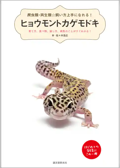 ヒョウモントカゲモドキ：育て方、食べ物、接し方、病気のことがすぐわかる！