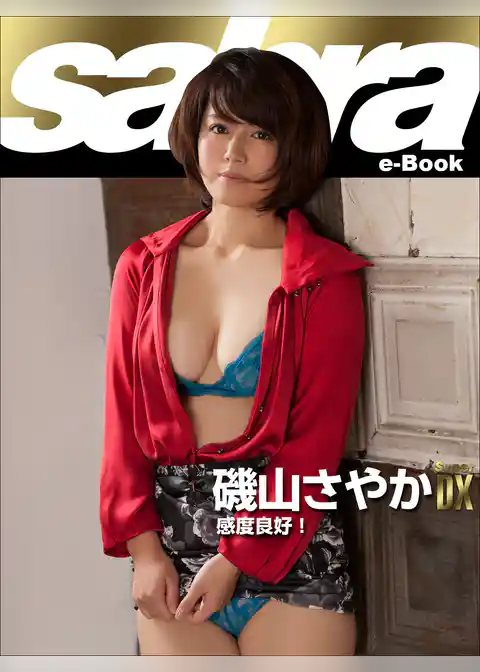 感度良好！　磯山さやかSUPER DX [sabra net e-Book]