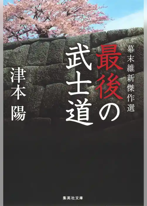 幕末維新傑作選　最後の武士道