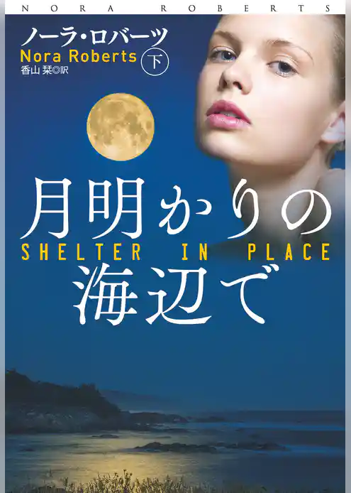 月明かりの海辺で