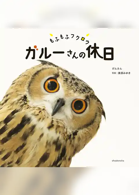 もふもふフクロウ　ガルーさんの休日