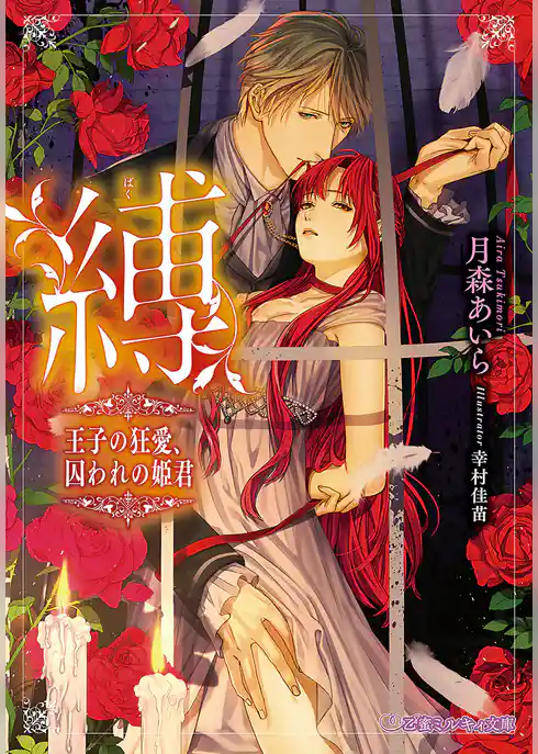 縛 王子の狂愛、囚われの姫君