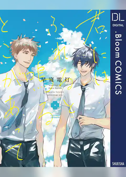 君にはふれると鳴るとこがあって