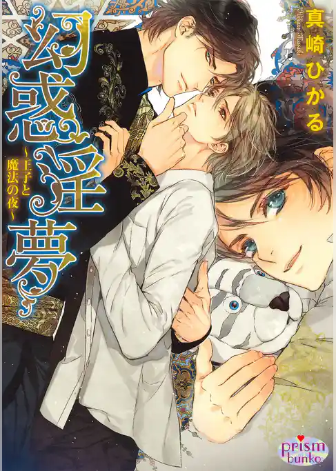 幻惑淫夢～王子と魔法の夜～