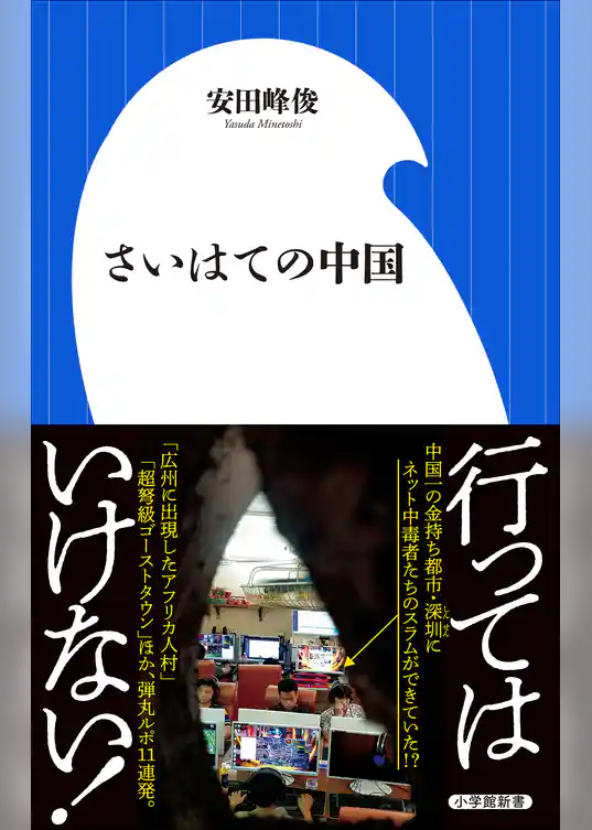 さいはての中国（小学館新書）